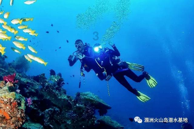 世界上真的有外星人存在吗？游戏画面